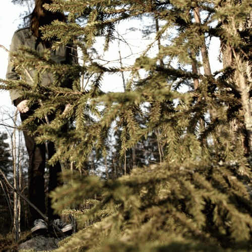 Havukruunu : Demo II